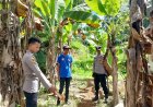Personel Polsek Tanggeung Laksanakan Olah TKP Kasus Pencurian Kendaraan Bermotor Di Pasirkuda