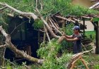 Polsek Kadupandak Laksanakan Cek TKP Pohon Tumbang yang Menimpa Rumah Warga di Desa Bojongkasih